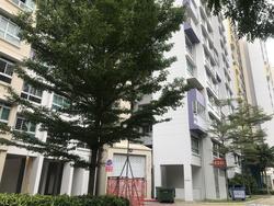 Blk 624C Punggol Central (Punggol), HDB 3 Rooms #215422801
